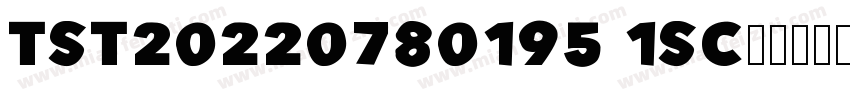 TST20220780195 1SC字体转换